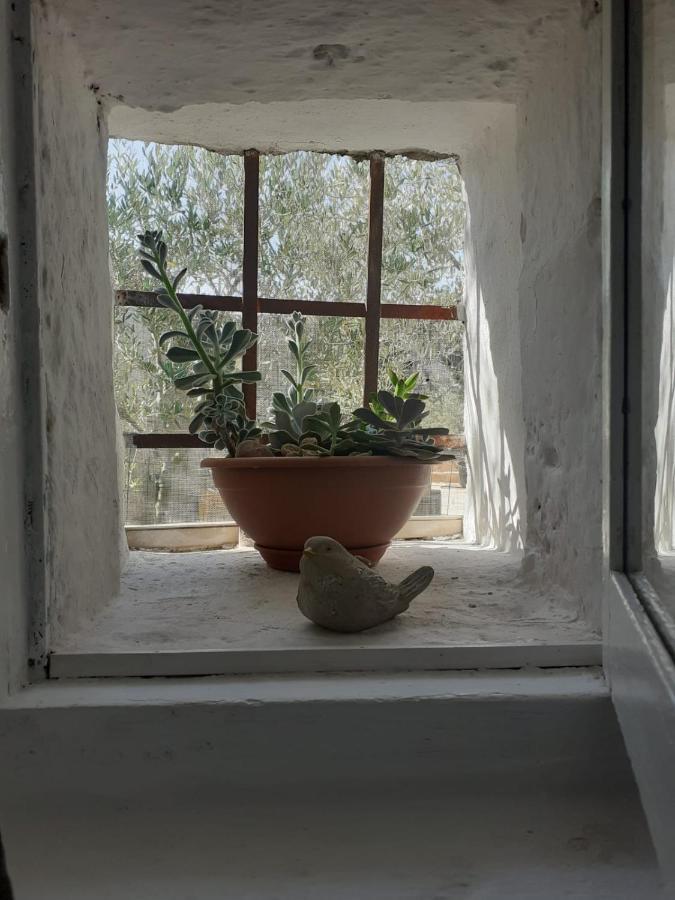 فيلا La Mia Dimora Cocolicchio المظهر الخارجي الصورة